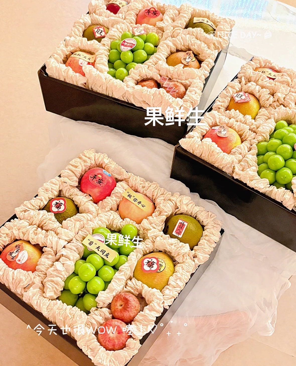 Fruity Moments果味时光