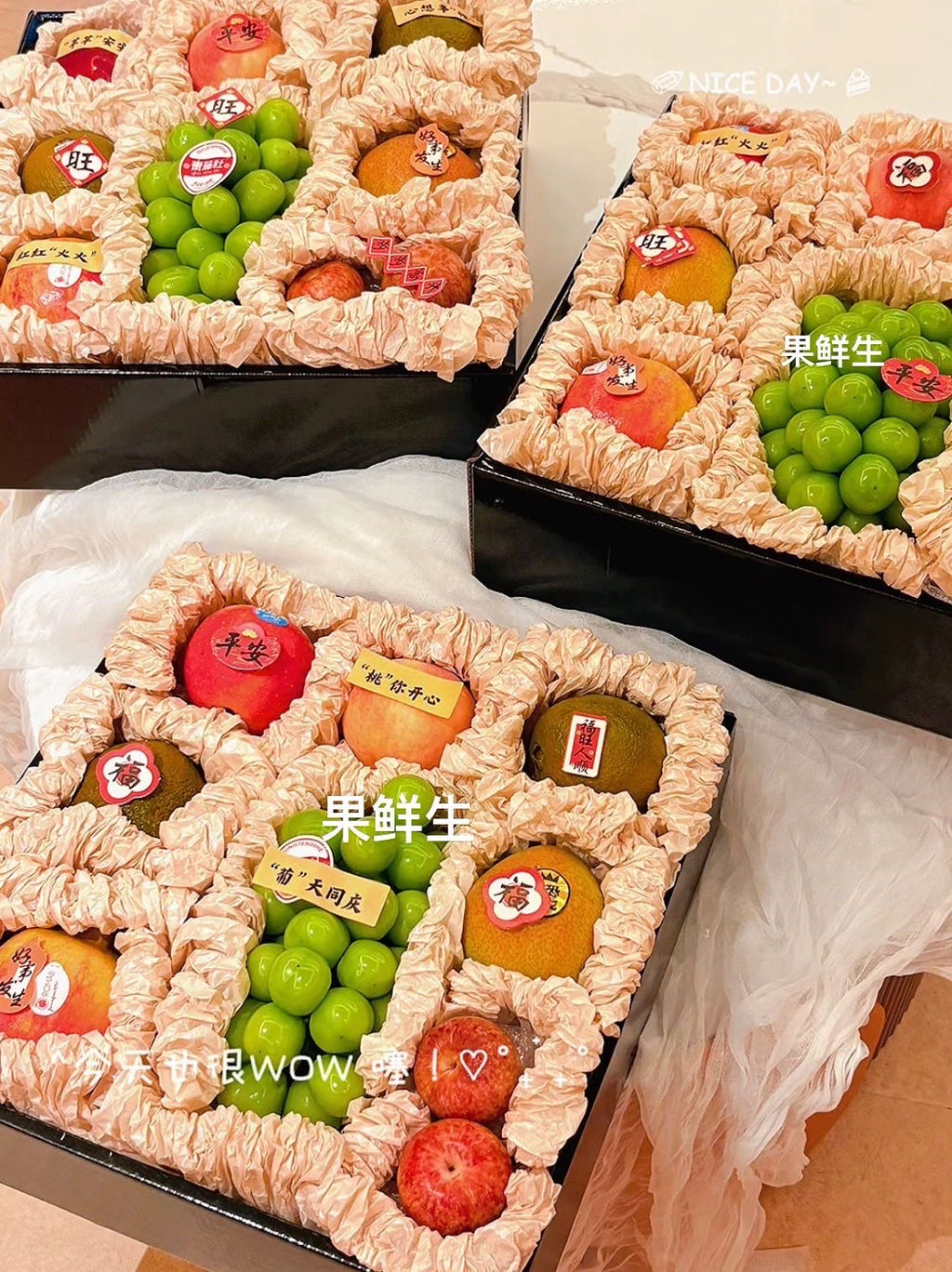 Fruity Moments果味时光